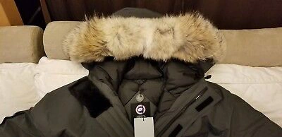 Pre-owned Canada Goose 2022 Grey Label Gray Mens Expedition Xxl (fits Like  3xl-4xl) Parka | ModeSens