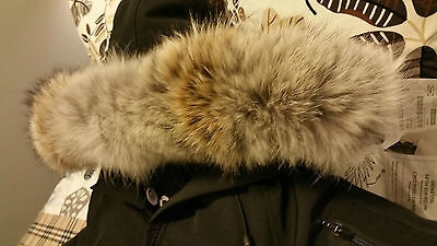 Pre-owned Label Edition Brand Red  Blk Canada Goose Hologram Chilliwack M Parka Jacket