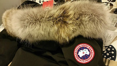 Pre-owned Label Edition Brand Red  Blk Canada Goose Hologram Chilliwack M Parka Jacket