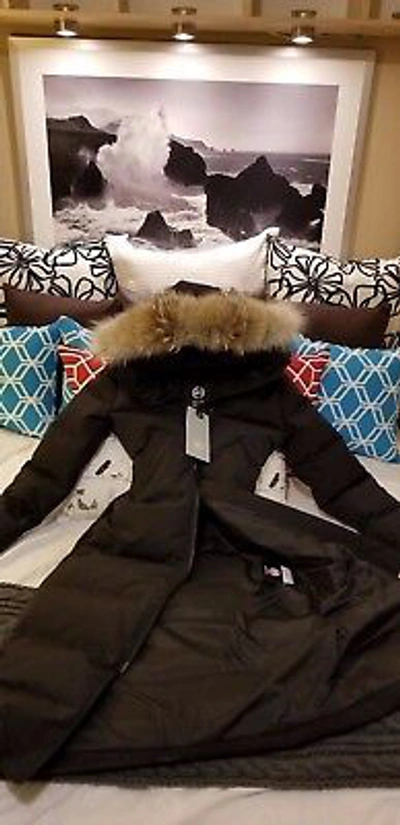 Pre-owned Canada Goose 2022 Grey Label Concept Edition Lady Black  Mystique Xl Parka Jacket In Gray