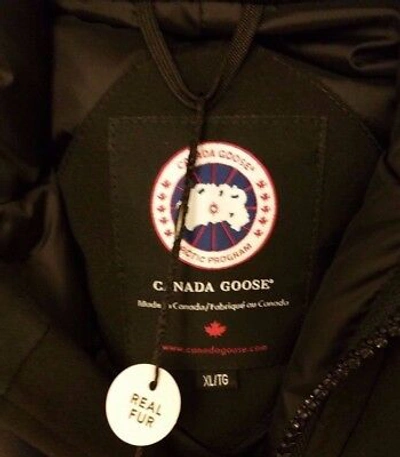 CANADA GOOSE Pre-owned 2022 Grey Label Concept Edition Lady Black  Mystique Xl Parka Jacket In Gray