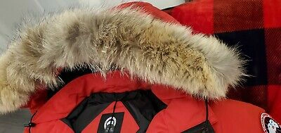 Pre-owned Label Edition 2022 Grey  Red Label Red Canada Goose Trillium Lg Parka Jacket In Sunfire Red