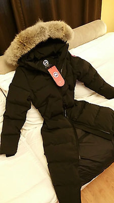 Pre-owned Canada Goose Brand "red Label" Edition Black  Mystique Small Parka Jacket