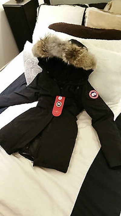 Pre-owned Canada Goose Brand "red Label" Edition Black  Victoria Medium Parka Jacket