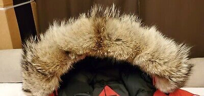 Pre-owned Canada Goose 2022 Authentic Hologram Tag Red  Snow Mantra Medium Parka Jacket