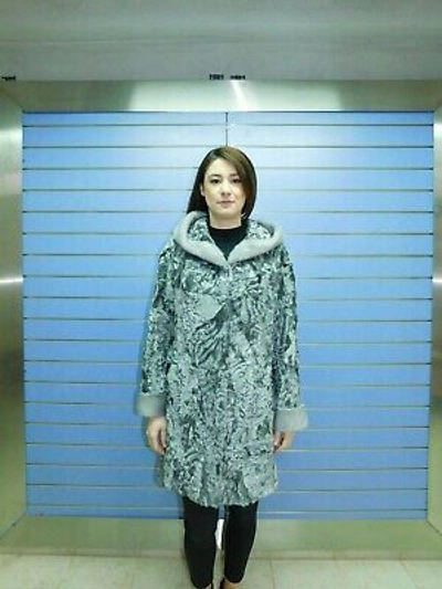 Pre-owned Fenzo Furs Luxury Silver Swakara Fur Coat With Hood- Swakara With Hood And Mink Trim