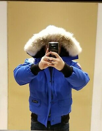 Pre-owned Canada Goose 2022 Grey Label Polar Bear Blue Label Pbi