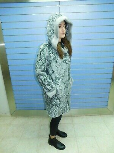 Pre-owned Fenzo Furs Luxury Silver Swakara Fur Coat With Hood- Swakara With Hood And Mink Trim