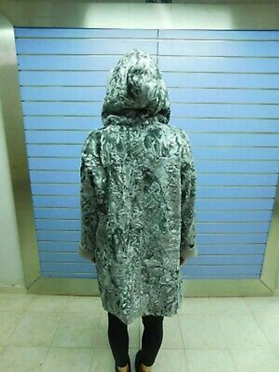 Pre-owned Fenzo Furs Luxury Silver Swakara Fur Coat With Hood- Swakara With Hood And Mink Trim