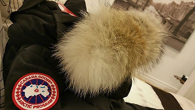 Pre-owned Canada Goose Brand "red Label" Edition Black  Mystique Sm Parka Jacket