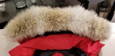 Pre-owned Canada Goose 2022 Latest Grey Label Concept Edition "red"  Mystique Xs Parka
