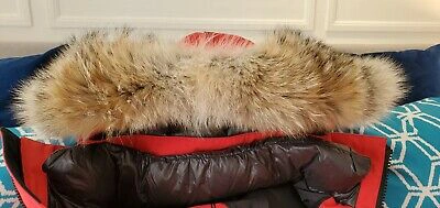 Pre-owned Canada Goose Brand Grey Label Sunfire Red  Erickson Parka Men Size Medium Mm