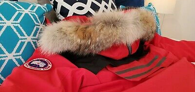 Pre-owned Canada Goose Brand Grey Label Sunfire Red  Erickson Parka Men Size Medium Mm