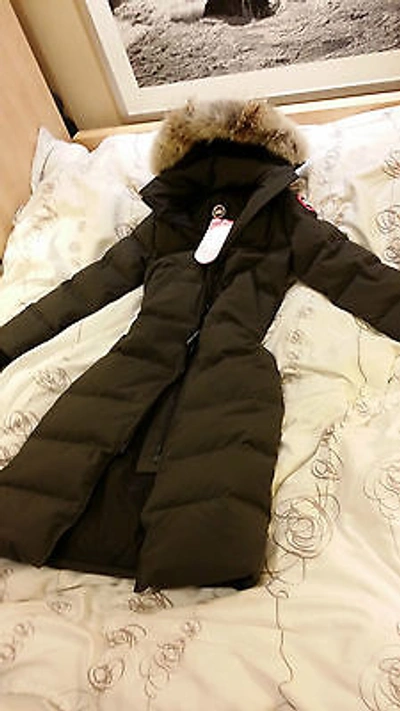 Pre-owned Canada Goose Brand "red Label" Edition Graphite  Mystique Small Parka Jacket