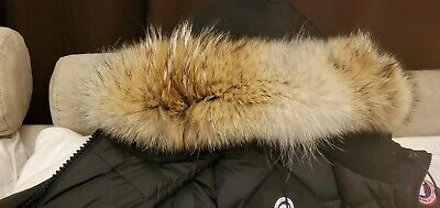 Pre-owned Canada Goose Brand Grey Label Edition Black  Victoria Ladies Xs Parka Jacket In Gray