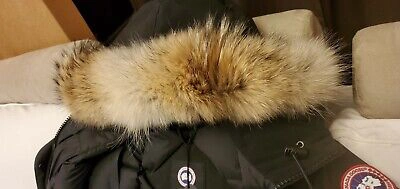 Pre-owned Canada Goose Brand Grey Label Edition Black  Victoria Ladies Xs Parka Jacket In Gray