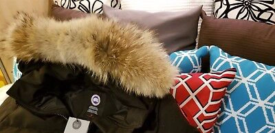 Pre-owned Canada Goose 2022 Grey Label Concept Edition Lady Black  Mystique Lg Parka Jacket In Gray