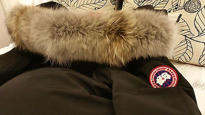 Pre-owned Label Edition Brand Red  Blk Canada Goose Hologram Chilliwack Lg Parka Jacket