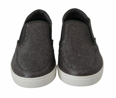 Pre-owned Dolce & Gabbana Dolce&gabbana Men Dark Gray Loafers Leather Lizard Crocodile Skin Dress Shoes