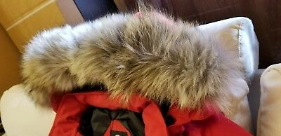 Pre-owned Canada Goose Brand Latest Grey Label Red  Trillium Small Arctic Parka Jacket In Sunfire Red