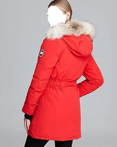 Pre-owned Canada Goose Brand Latest Grey Label Red  Trillium Small Arctic Parka Jacket In Sunfire Red