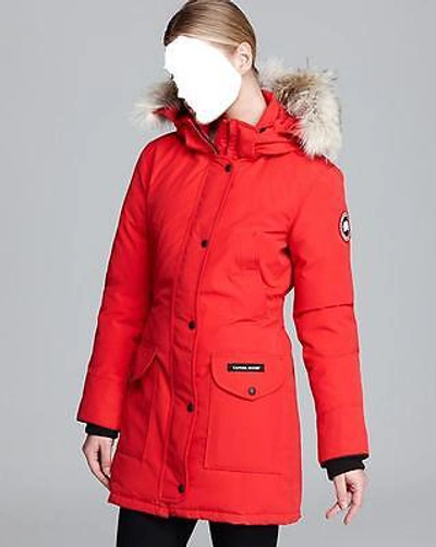 Pre-owned Canada Goose Brand Latest Grey Label Red  Trillium Small Arctic Parka Jacket In Sunfire Red