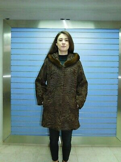 Pre-owned Fenzo Furs Luxury Brown Swakara Fur Coat With Hood- Swakara Full Skin Coat With Mink Trim
