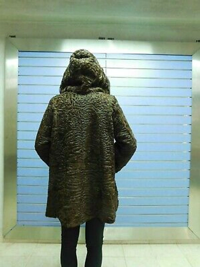 Pre-owned Fenzo Furs Luxury Brown Swakara Fur Coat With Hood- Swakara Full Skin Coat With Mink Trim