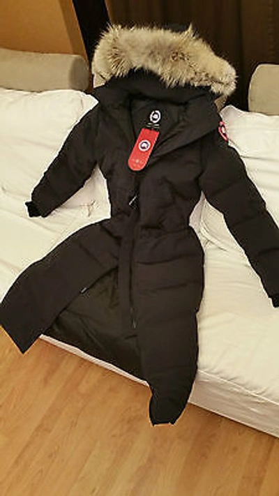 Pre-owned Label Edition Red  100% Lady Navy Blue Canada Goose Mystique Lg Parka Jacket