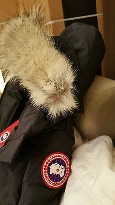 Pre-owned Label Edition Red  100% Lady Navy Blue Canada Goose Mystique Lg Parka Jacket