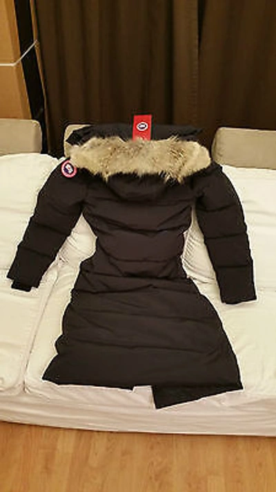 Pre-owned Label Edition Red  100% Lady Navy Blue Canada Goose Mystique Lg Parka Jacket