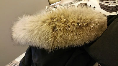 Pre-owned Label Concept Brand Red  Edition Navy Canada Goose Victoria Mm Parka Jacket