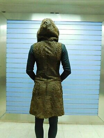 Pre-owned Fenzo Furs Natural Full Skin Swakara Fur Vest With Hood- Swakara With Hood And Mink Trim In Brown
