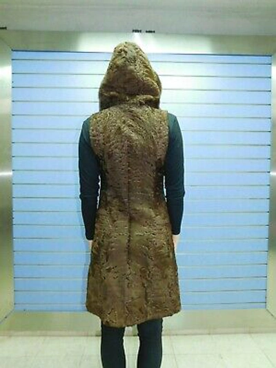 Pre-owned Fenzo Furs Natural Full Skin Swakara Fur Vest With Hood- Swakara With Hood And Mink Trim In Brown