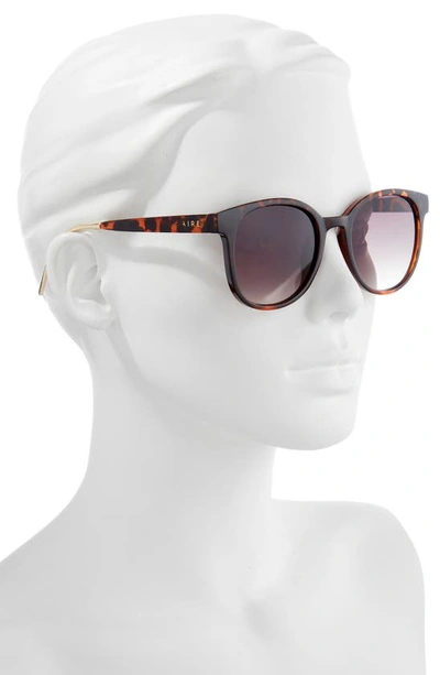 Shop Aire Crux Round 52mm Sunglasses In Dark Tort