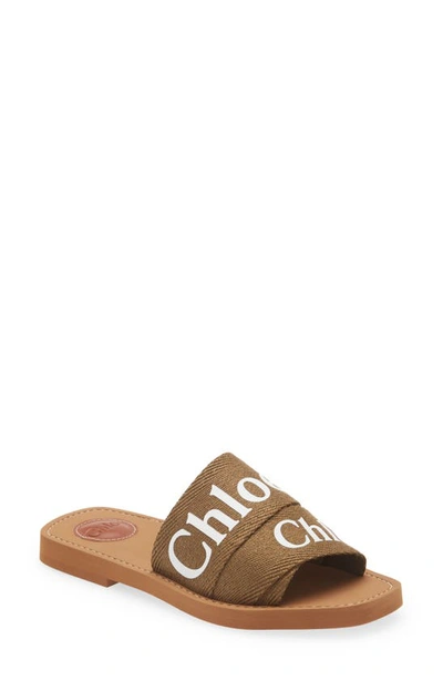 Shop Chloé Woody Logo Slide Sandal In Grove Brown