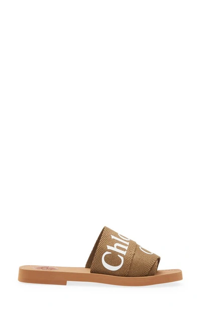 Shop Chloé Woody Logo Slide Sandal In Grove Brown