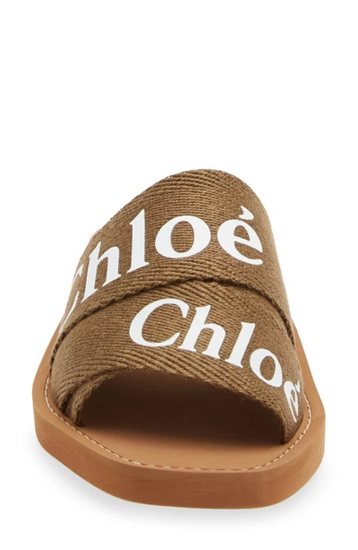 Shop Chloé Woody Logo Slide Sandal In Grove Brown