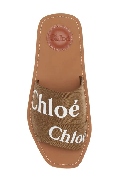 Shop Chloé Woody Logo Slide Sandal In Grove Brown