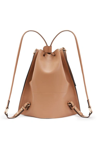 Shop Allsaints Alpha Two-tone Leather Backpack In Palisade Tan/ Black