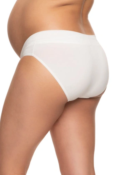 Felina  Organic Cotton Maternity Hipster Panties 3-Pack (Slate Pebble  Cloud, Medium) - Yahoo Shopping