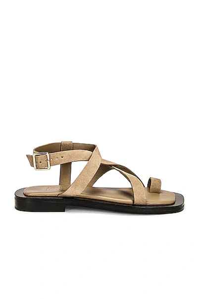 Shop A.emery X Matteau Spargi Sandal In Donkey Suede