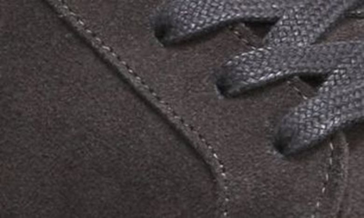 Shop Allen Edmonds Courtside Sneaker In Grey Leather