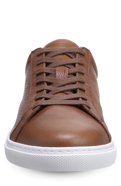 Shop Allen Edmonds Courtside Sneaker In Walnut Leather