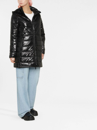 Shop Calvin Klein Recycled Padded Coat In Black