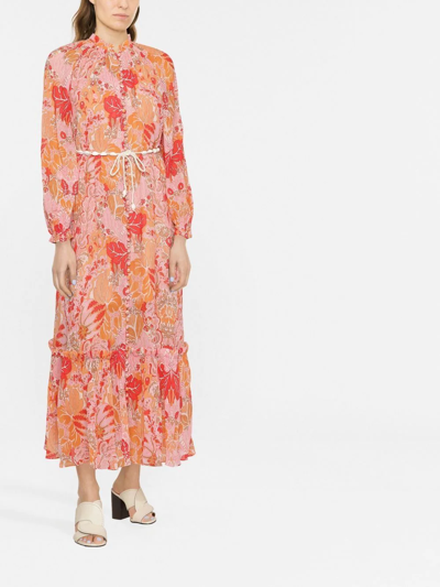 Shop Zimmermann Patti Floral-print Belted Maxi Dress In Orange