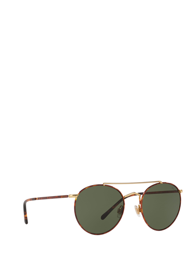 Shop Polo Ralph Lauren Ph3114 Havana On Shiny Gold Sunglasses