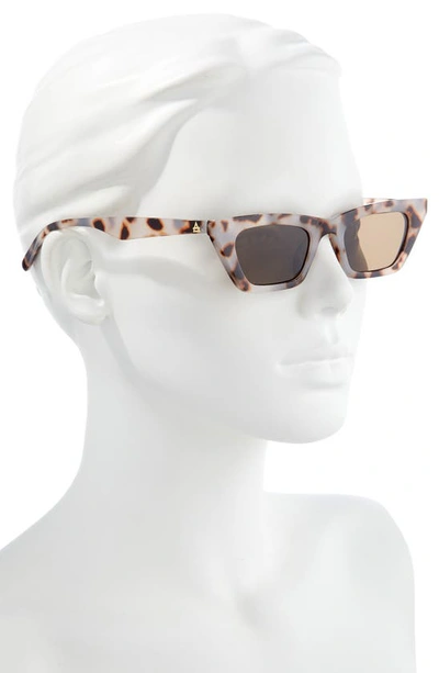 Shop Aire Polaris 49mm Cat Eye Sunglasses In Cookie Tort
