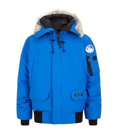 Shop Canada Goose Pbi Chilliwack Bomber Jacket