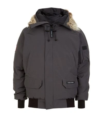 Canada Goose Chilliwack Coyote Fur Trim Bomber In Charcoal